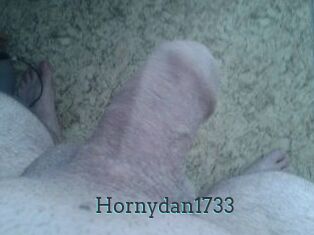 Hornydan1733