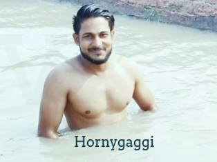Hornygaggi