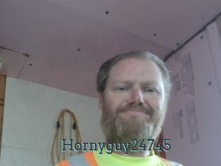 Hornyguy24745