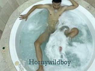 Hornywildboy