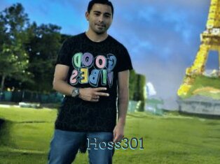 Hoss301