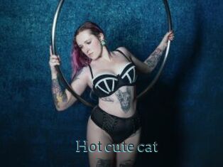 Hot_cute_cat