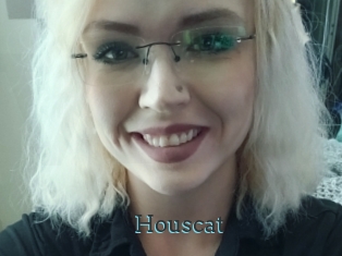 Houscat