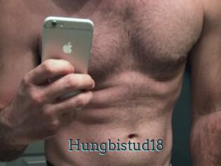 Hungbistud18