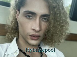 Hybridepool