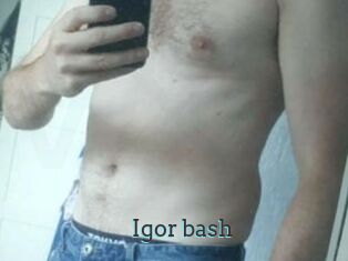 Igor_bash