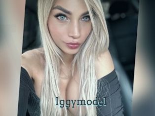 Iggymodel