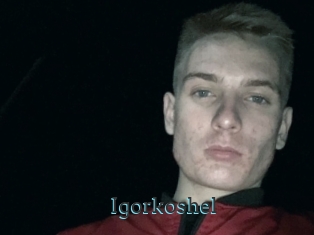 Igorkoshel