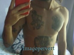 Imagopervert