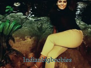 Indianbigboobies