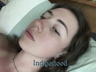 Indigoflood