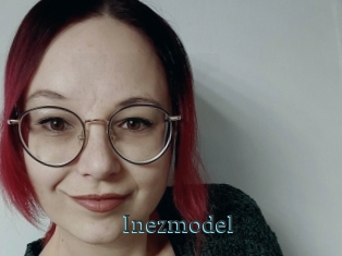 Inezmodel
