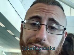 Jakesbigsnake