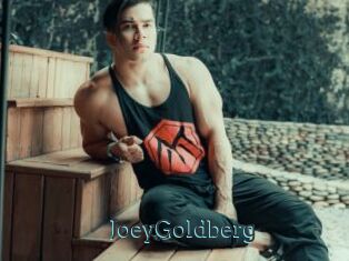 JoeyGoldberg