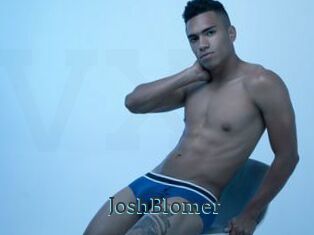 JoshBlomer