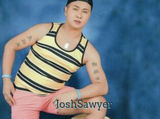 JoshSawyer