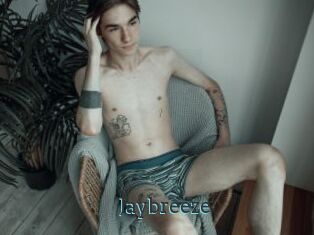 Jaybreeze