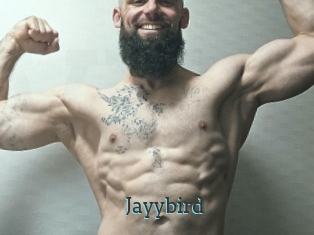 Jayybird