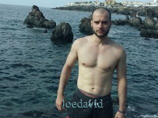 Joedavid