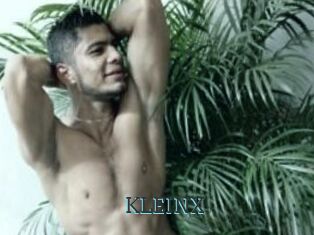 KLEINX