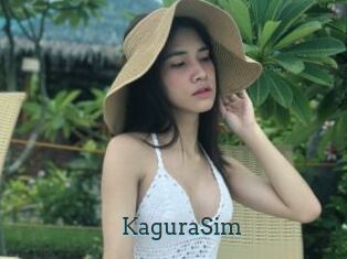 KaguraSim