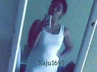 Kaju1691