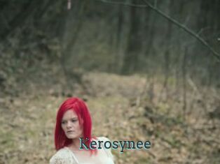 Kerosynee