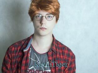 KevinTiger