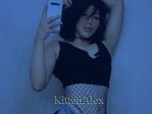 KittenAlex
