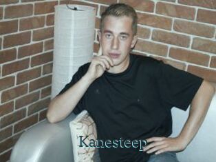 Kanesteep