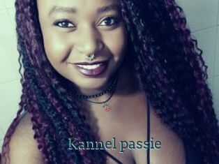 Kannel_passie