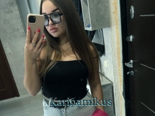 Karinamikus