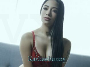 Karlieebunny