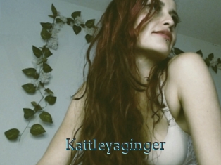 Kattleyaginger