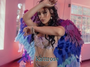Kattrose