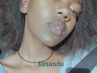 Kesandu