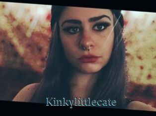 Kinkylittlecate