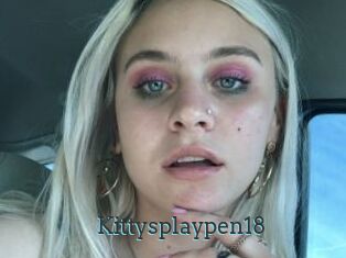 Kittysplaypen18