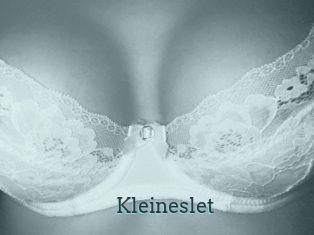 Kleineslet