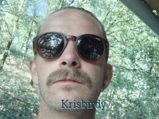 Krisbirdy