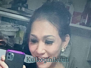 Kulkoginikutifi