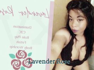 Lavender_Rose