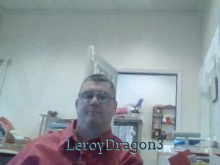 LeroyDragon3