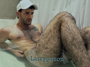 Larrygarzon