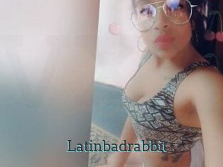 Latinbadrabbit