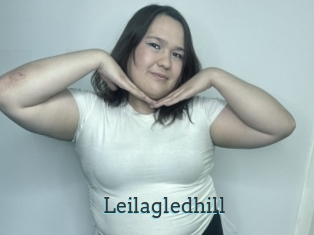 Leilagledhill