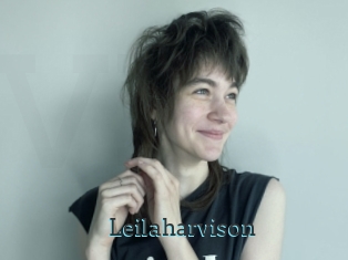 Leilaharvison