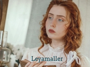 Leyamaller