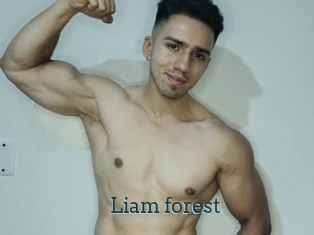Liam_forest