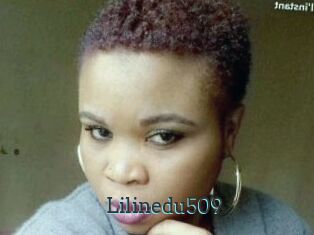 Lilinedu509